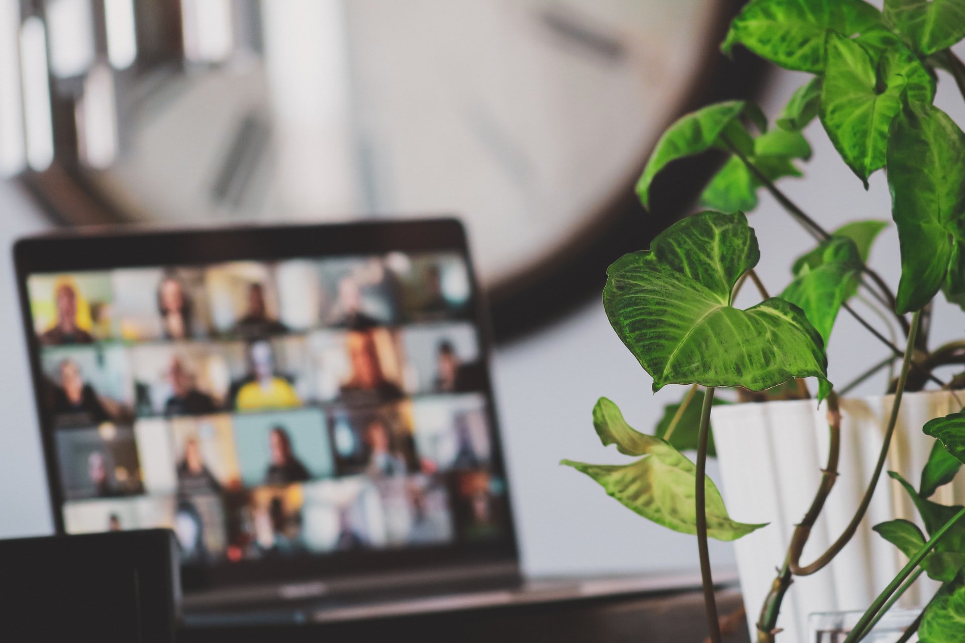 photo of a laptop being used for online meetings